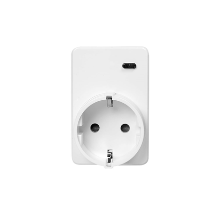 BUCHSENSCHALTER / LEISTUNGSMESSGERÄT F1