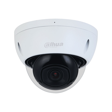 WizSense 2series Netzwerkkamera, 5MP WDR IR Mini Dome Kamera, 2,8mm Objektiv, IP67, IK10, Mit Eingebautem Mikrofon